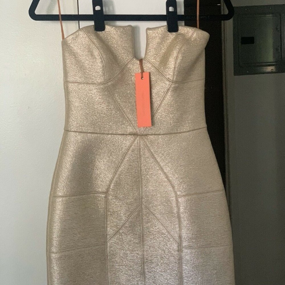 Manning Cartell Gold Strapless Dress in Flesh